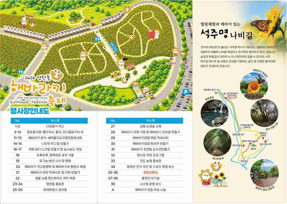 2026 영천동 해바라기축제 3