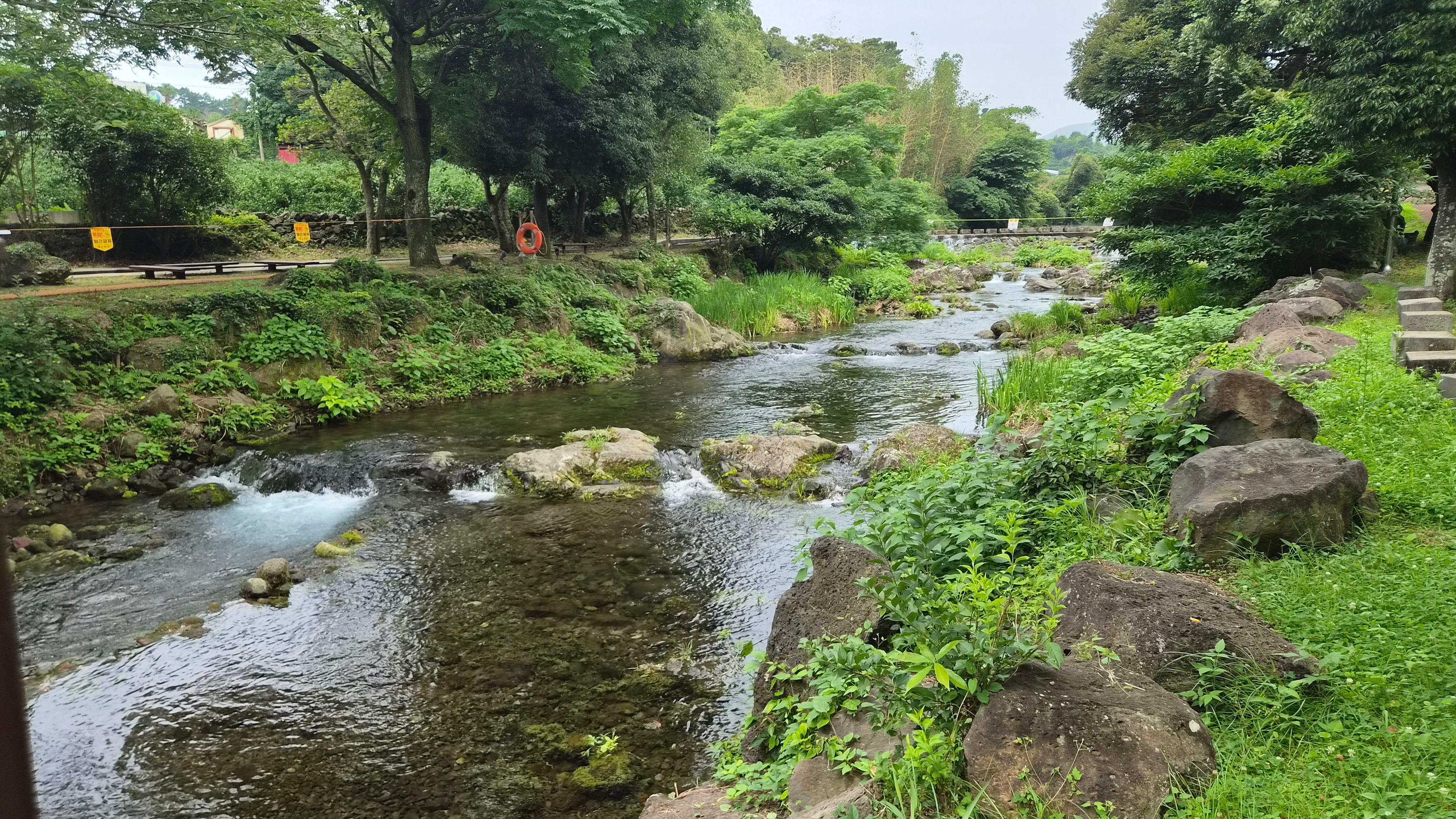 솜반천 3