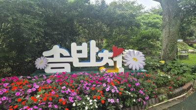 솜반천