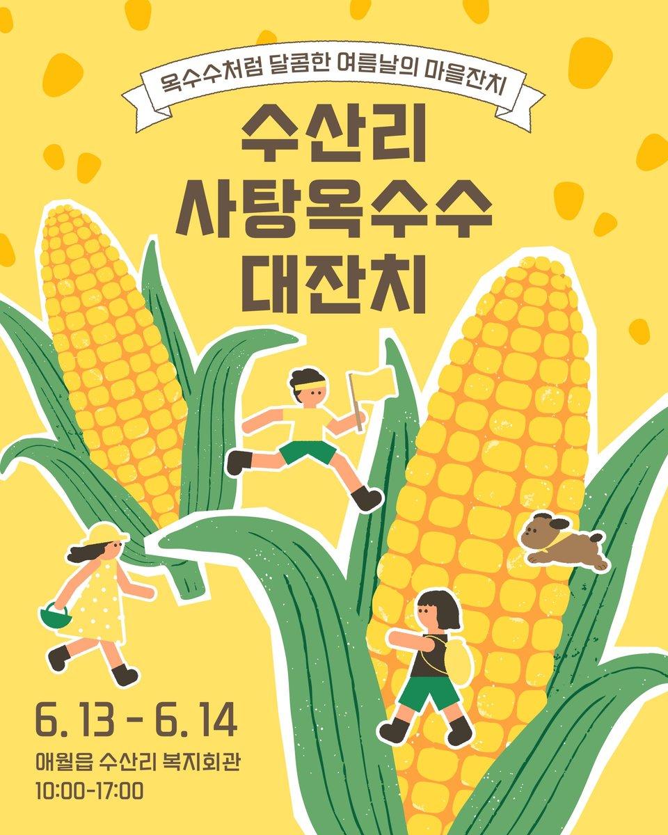 수산리 사탕옥수수 대잔치 : 옥수수처럼 달콤한 여름날의 마을잔치